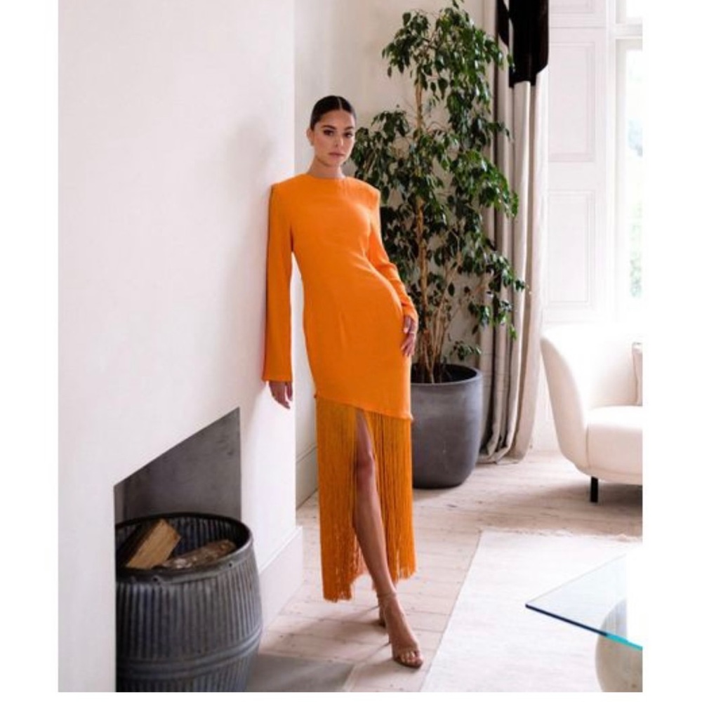 Pretty Lavish fringe dress never been worn with tags.